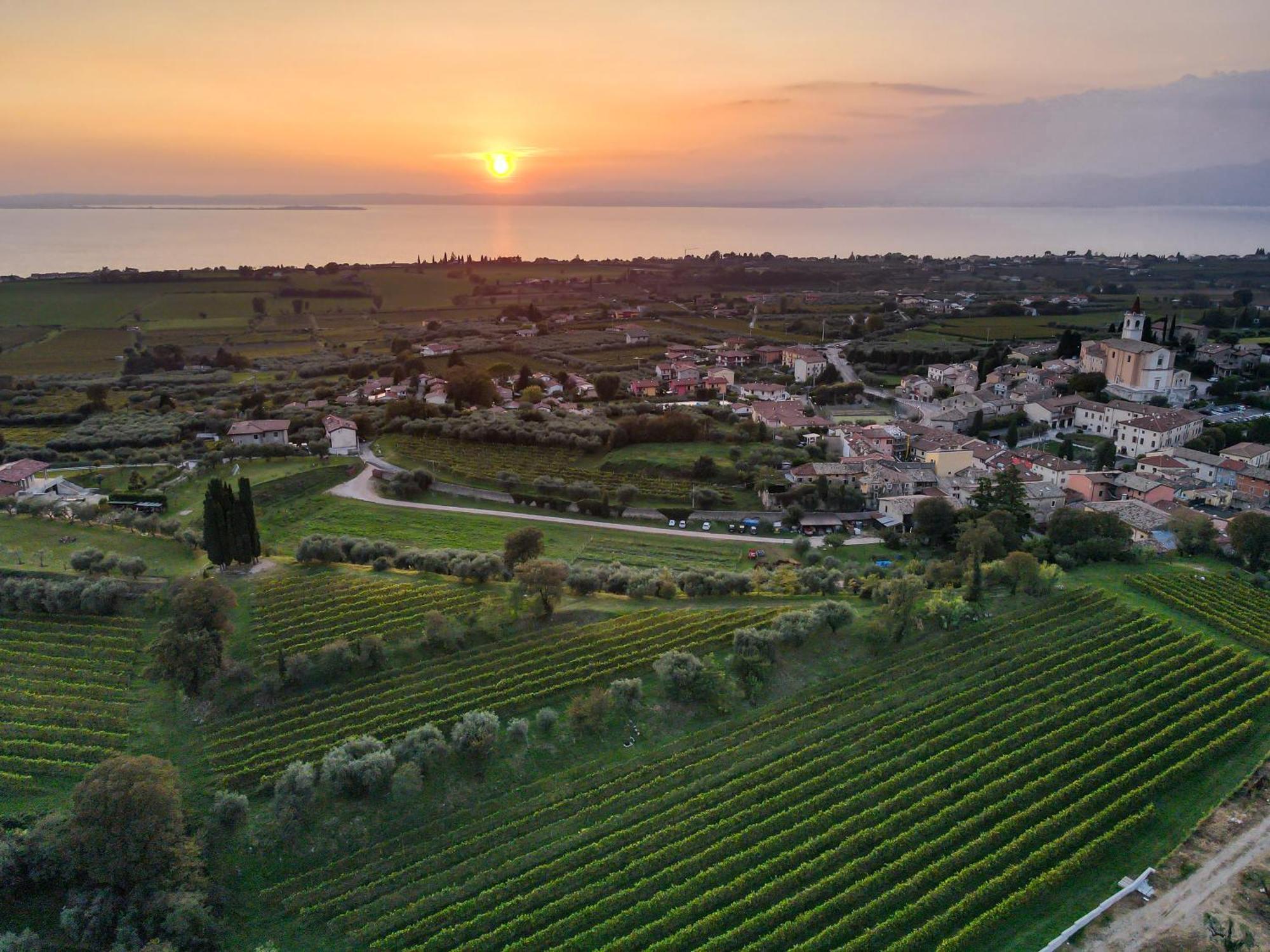 Villa Calicantus Bardolino Dış mekan fotoğraf